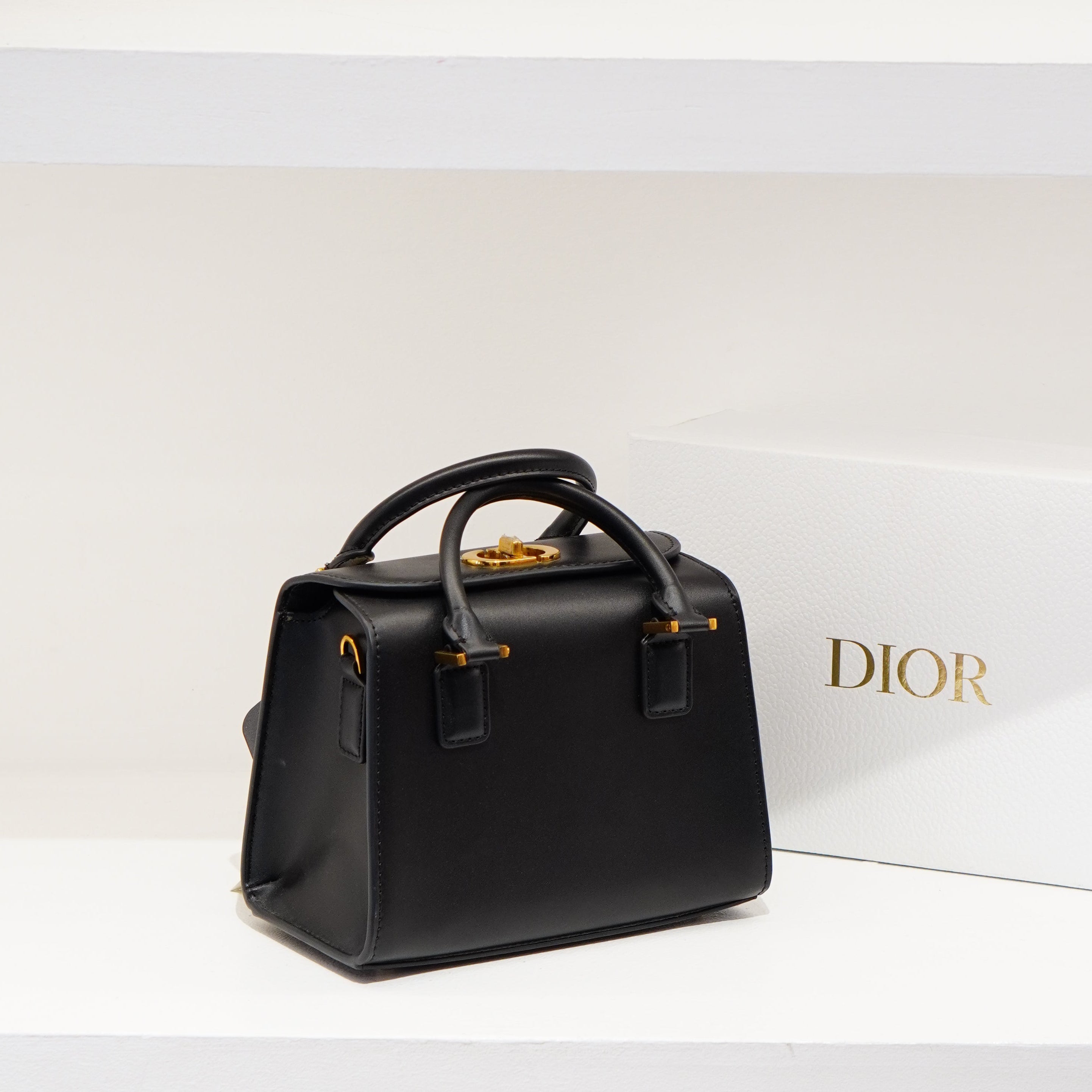 Dior Signature Bag