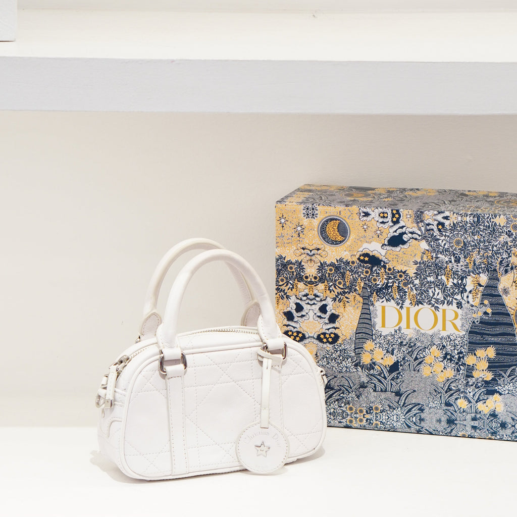 Dior Vibe Micro