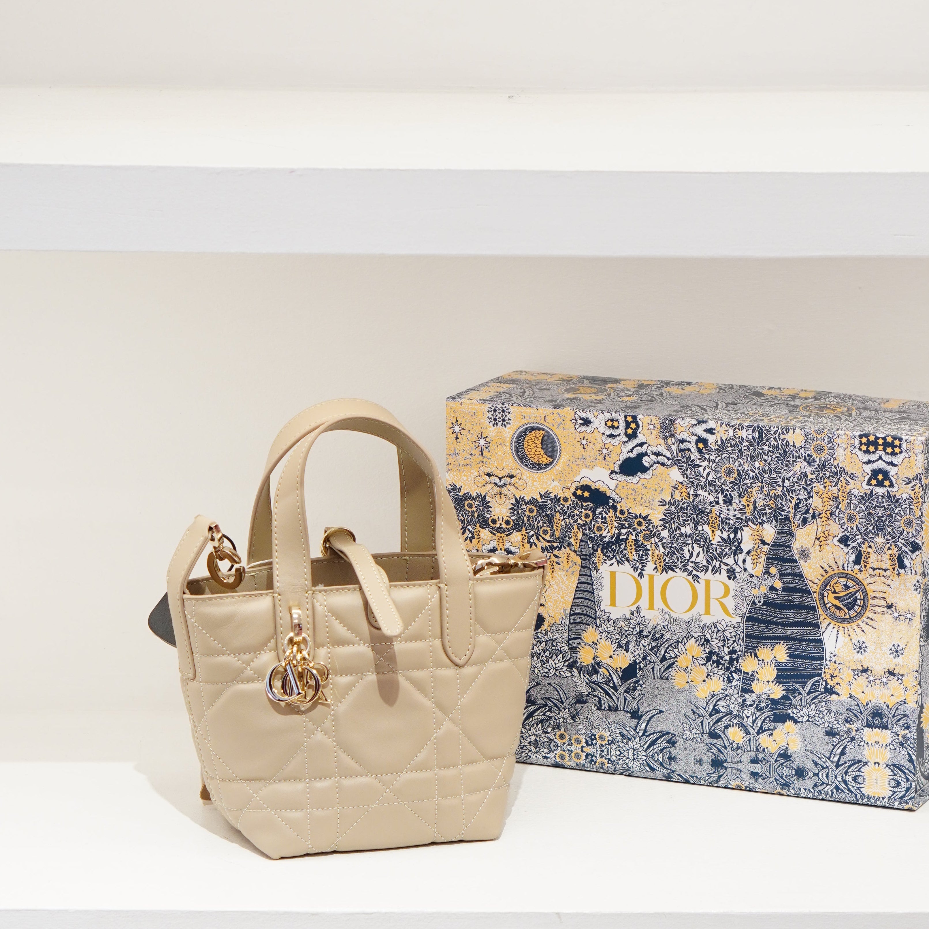 Dior Toujours Bag