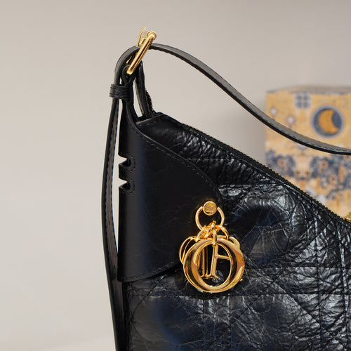 Dior Jolie Hobo Bag