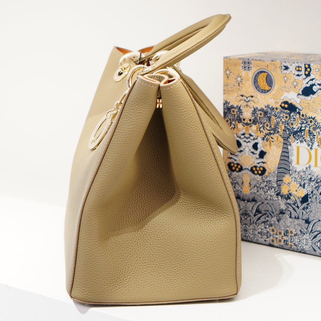 Dior Toujours Bag