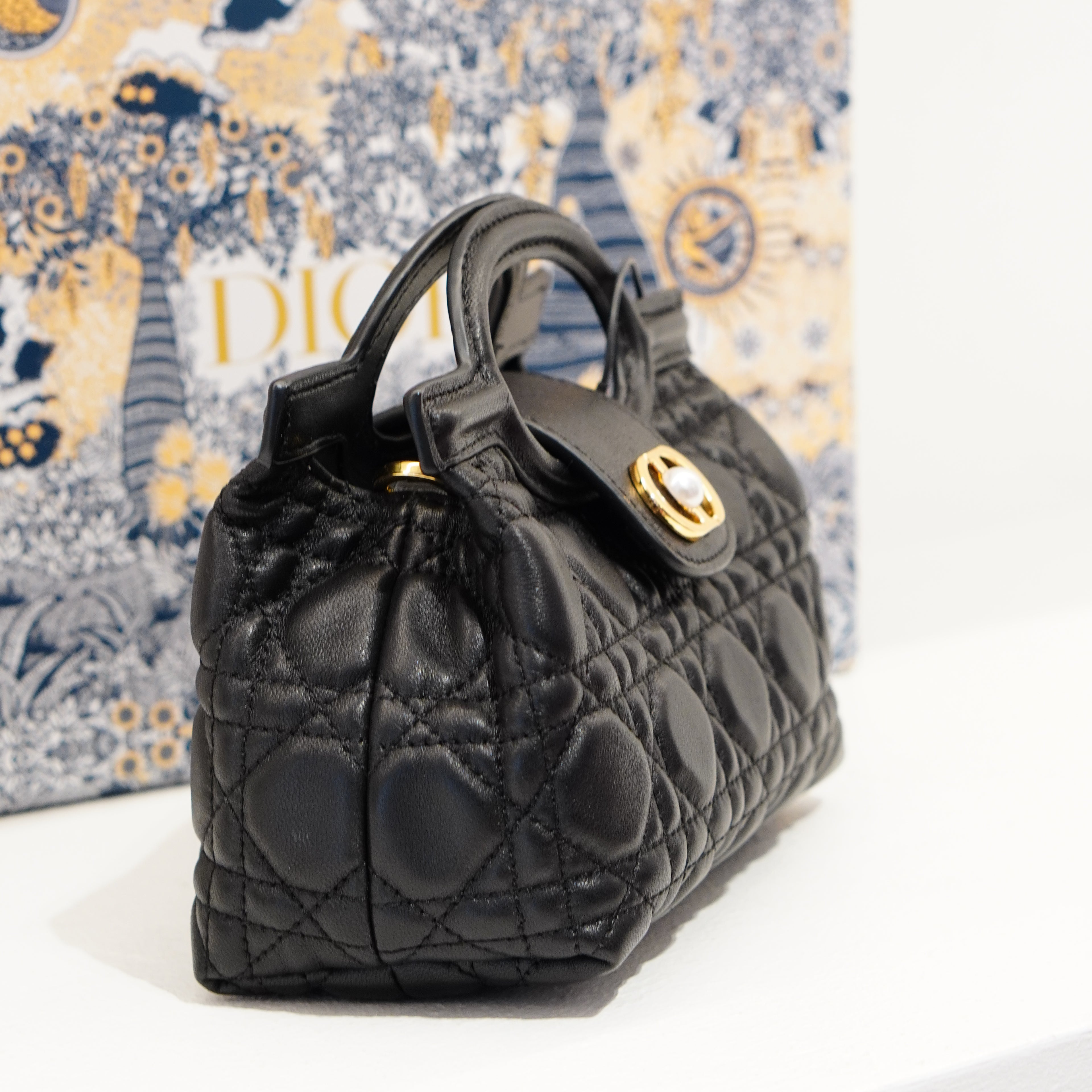 Dior Jolie Bag