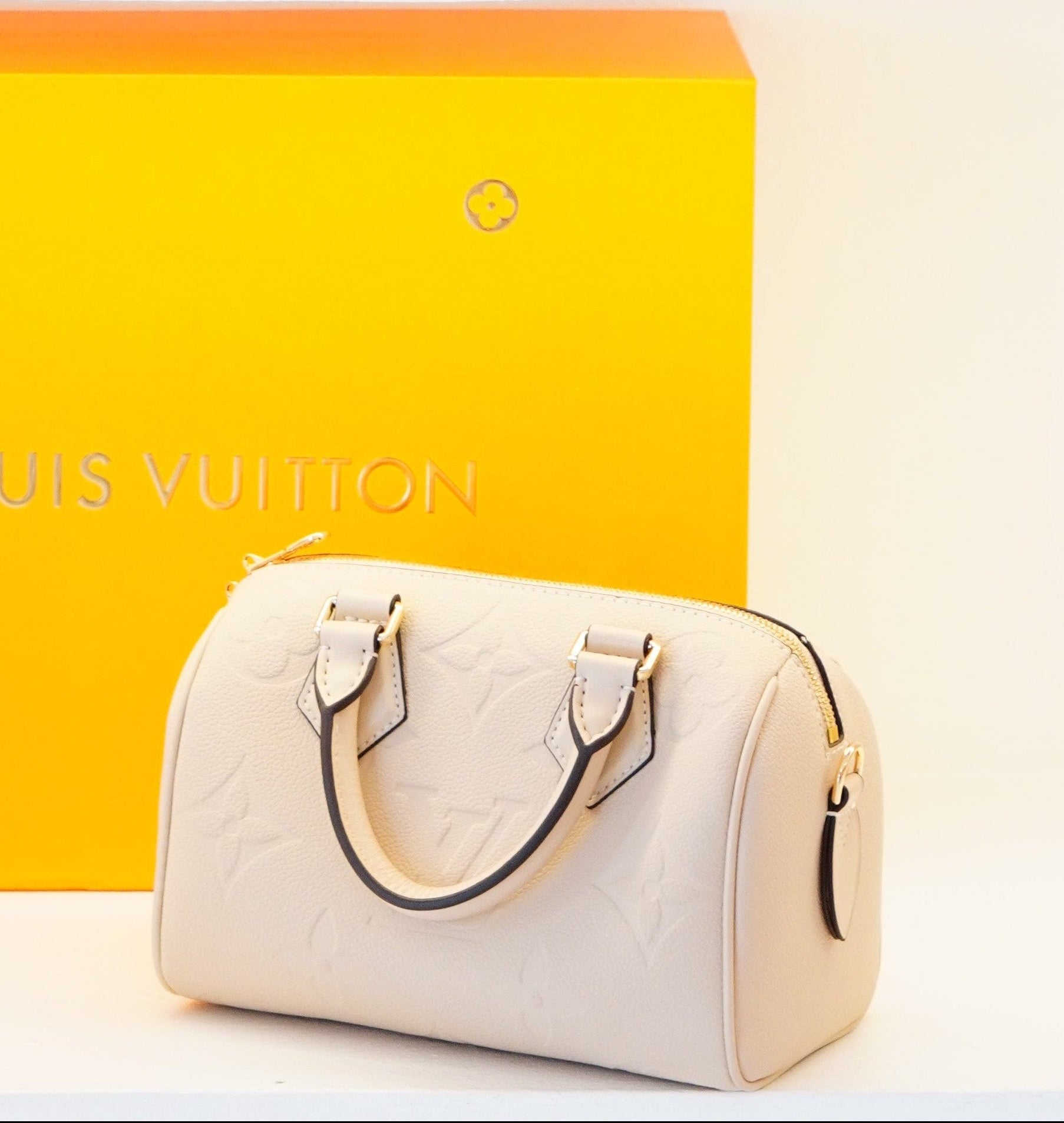 Louis Vuitton Coussin