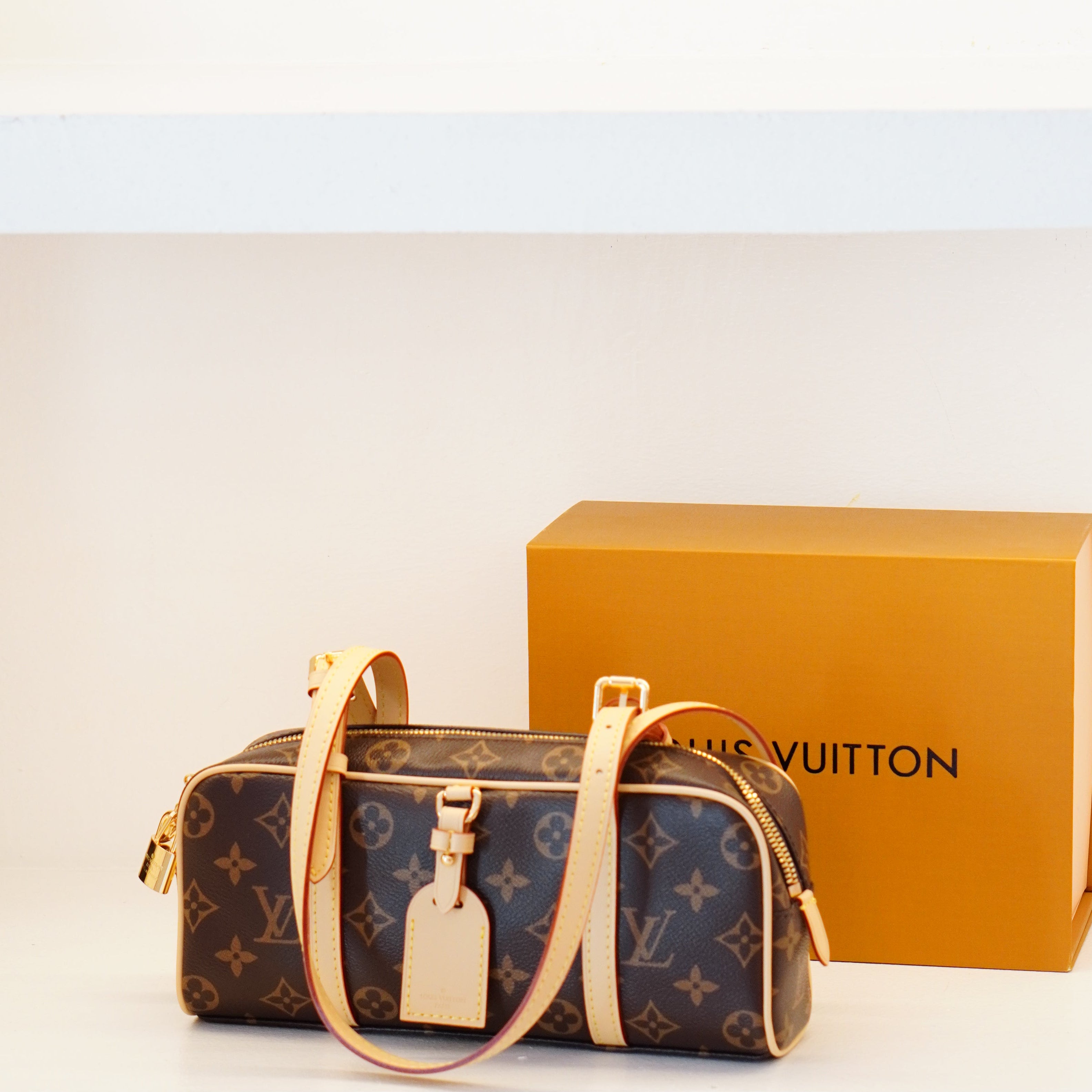 Louis Vuitton Cité