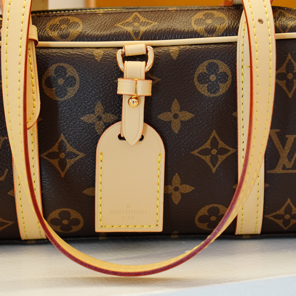 Louis Vuitton Cité