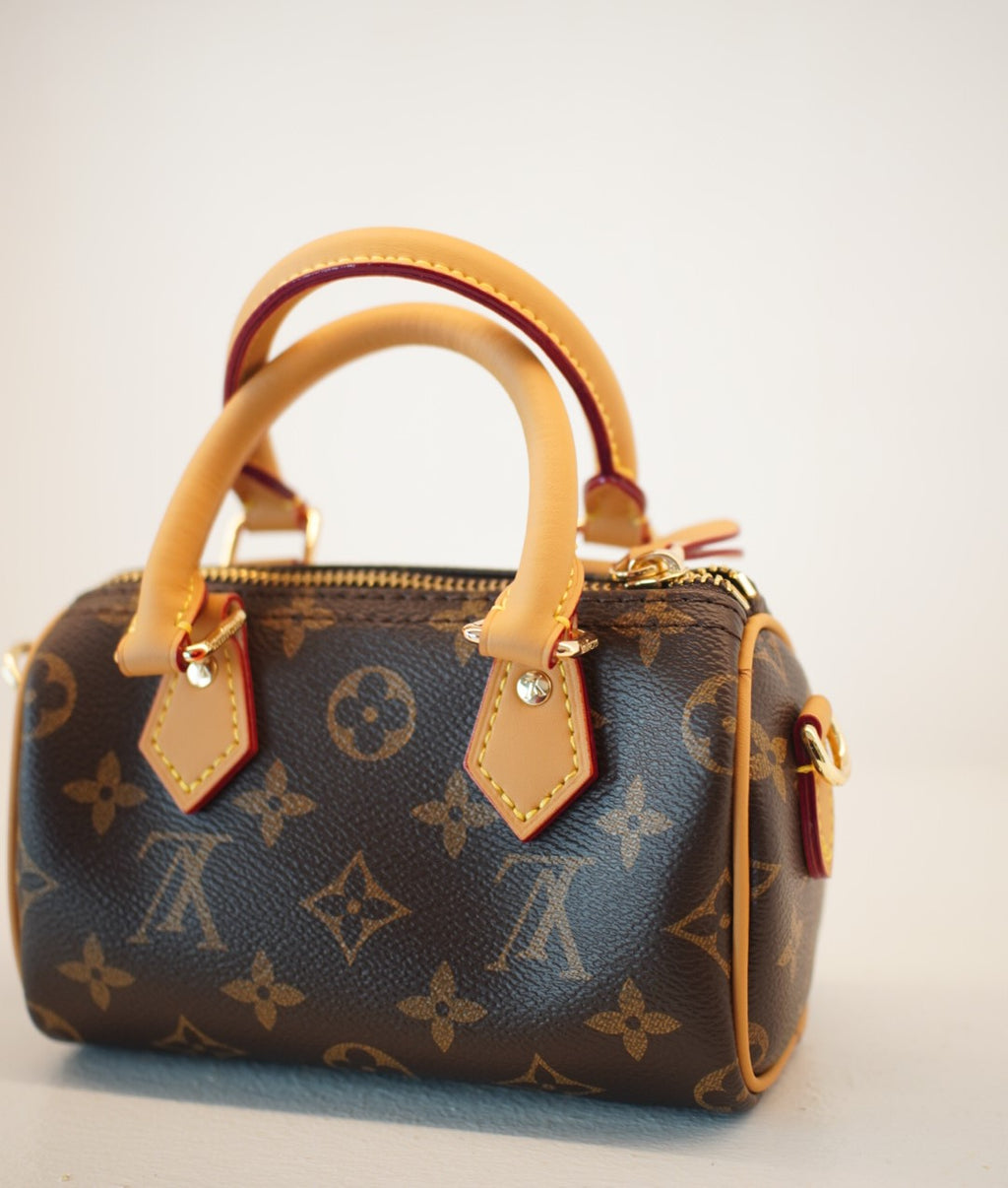 Louis Vuitton Nano Speedy